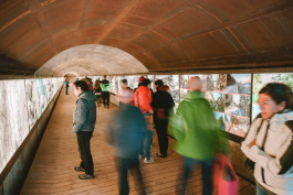 LanaLive 2017 - Via Lombardia LanaLive Culture Festival