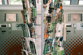 LanaLive - Best Of 2021 LanaLive Culture Festival