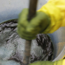 Lanalive 2022 - Collaboration LanaLive Culture Festival