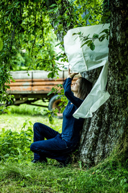 Lanalive 2023 - Performance LanaLive Culture Festival