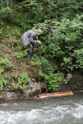 LanaLive 2019 - Roundabout LanaLive Culture Festival
