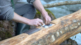 LanaLive 2019 - Roundabout LanaLive Culture Festival