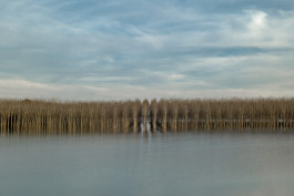 LanaLive Culture Festival