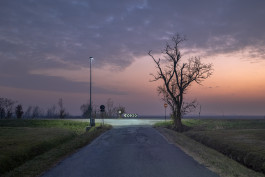 LanaLive Culture Festival