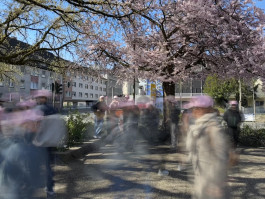 LanaLive Culture Festival