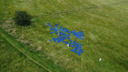 LanaLive Culture Festival