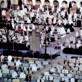  LanaLive Culture Festival