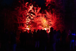 LanaLive Culture Festival