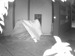 LanaLive Culture Festival