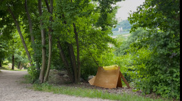 LanaLive Culture Festival