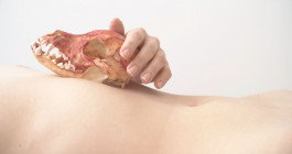 LanaLive Culture Festival